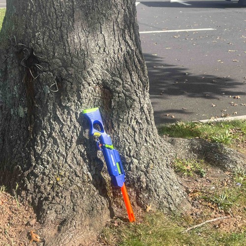 fresh off da boat (prod prettyclxud)