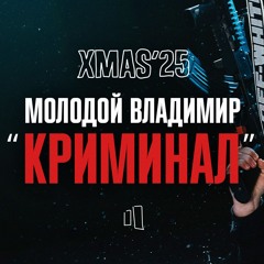 Молодой Владимир - Криминал / LIVE XMAS'25
