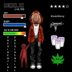remm.1k - presidential