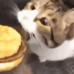 2hollis Ordering McDonalds (feat. perclaced)