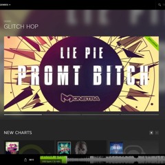 Promt Bitch (EP) [Beatport Big Support Banner]