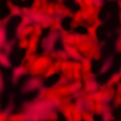 yung red - southside (perryicon + prodbyleko) [chin0gl6ss exclusive]