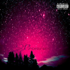 Z x Stallone - Promises  (prod. reddyj)