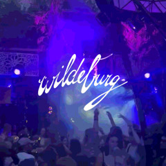 Leon Row @ Wildeburg Festival'25 | Lodge of Chi | Closing Set