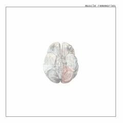 Muscle Rememories by Jack in Water