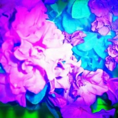 Napalm Danc plantsong