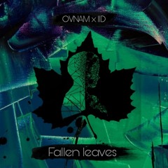 OVNAM x 1ID - Fallen Leaves