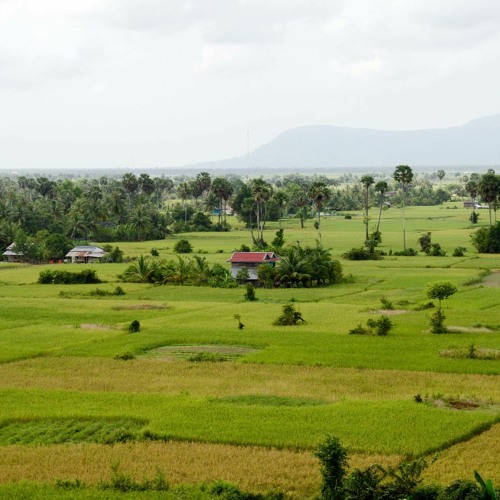 Cambodia.