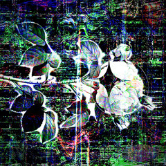 RunDown//feat. SicklyFxck// (prod.lilshmee)