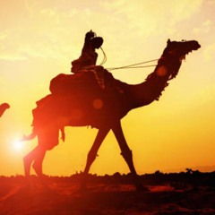 Clutch Play Caravan (Hip-Hop) (as heard on CBS Sports)