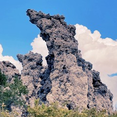 Warp World 02.15.26 (D&B)