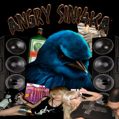 ANGRY SINI4KA