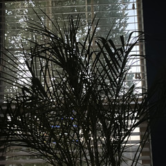 have you been wondering?