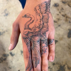 spread your wings :xoolice: