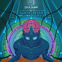 Pulsar & Liquid Sound - Human Brain (Kalsari Rmx)| 𝙊𝙐𝙏 𝙉𝙊𝙒
