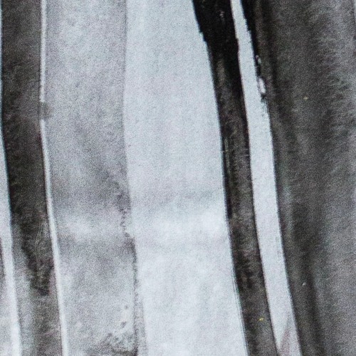 Eusebeia album with remixes of Zhe Pechorin, Baldo & Voidloss