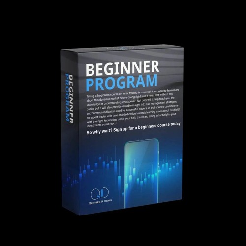 Forex Trading for Beginners Full Course - Quinsee & Dunn