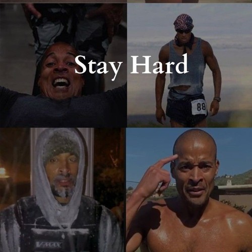 Stream David Goggins Motivation by tyler? | Listen online for free on