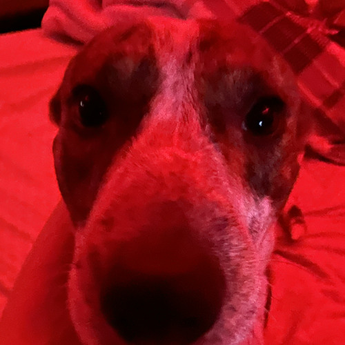 Triple Trouble(Sonia.exe Mix)