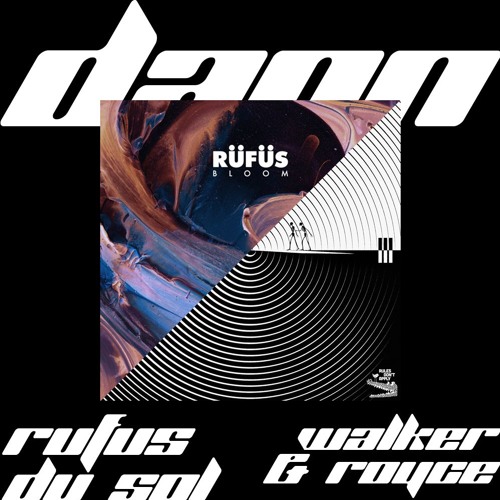 DANN - Rüfüs Du Sol Edit