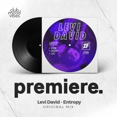 PREMIERE: Levi David - Entropy (Original Mix) [Zone Focus]