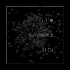lost in salt consumed by sea