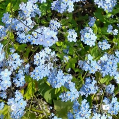 Тартак - Наше Літо.mp3