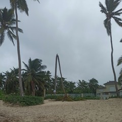 Huracán Fiona (SAINT - PIERRE)