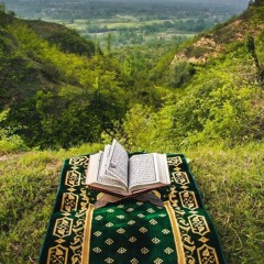 سورة الطلاق بصوت القارئ بدر التركي