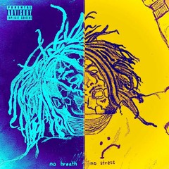 Henny Lucas (feat. Shae Ponzio) - No Breath No Stress