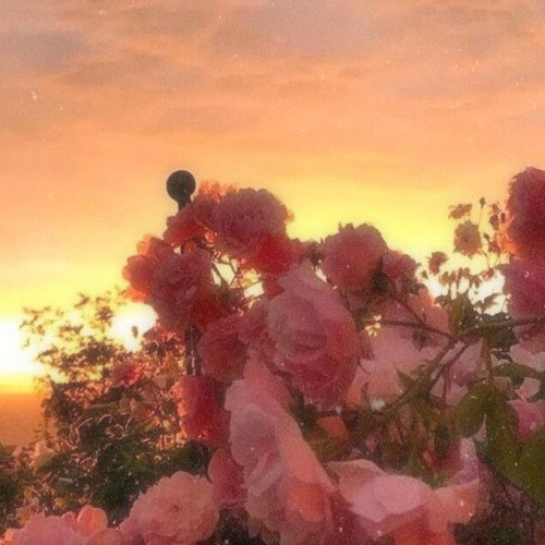 Stream Ykwim By Yot Club Tik Tok Audio 8d Audio Use Headphones By 𝕹𝖆𝖔𝖒𝖎 Listen Online For Free On Soundcloud Stream Ykwim By Yot Club Tik Tok Audio 8d Audio Use Headphones By 𝕹𝖆𝖔𝖒𝖎 Listen Online For Free On Soundcloud