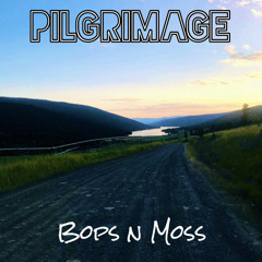 Pilgrimage (demo version)