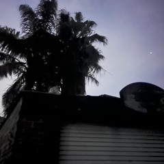 Mixes + Songs 2024