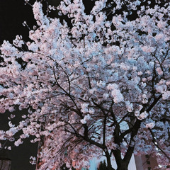 소나기 - cover by 크래비티 정모