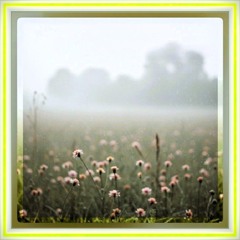 WM🐑#1147🩶🐁🐼🦨🐺🐩🐰🦤🦝🐨🐈‍⬛🐾