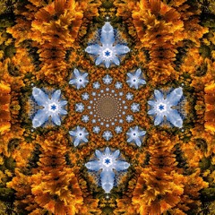 I Want... (Ft. Fractal Rain)