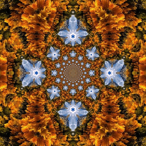 I Want... (Ft. Fractal Rain)