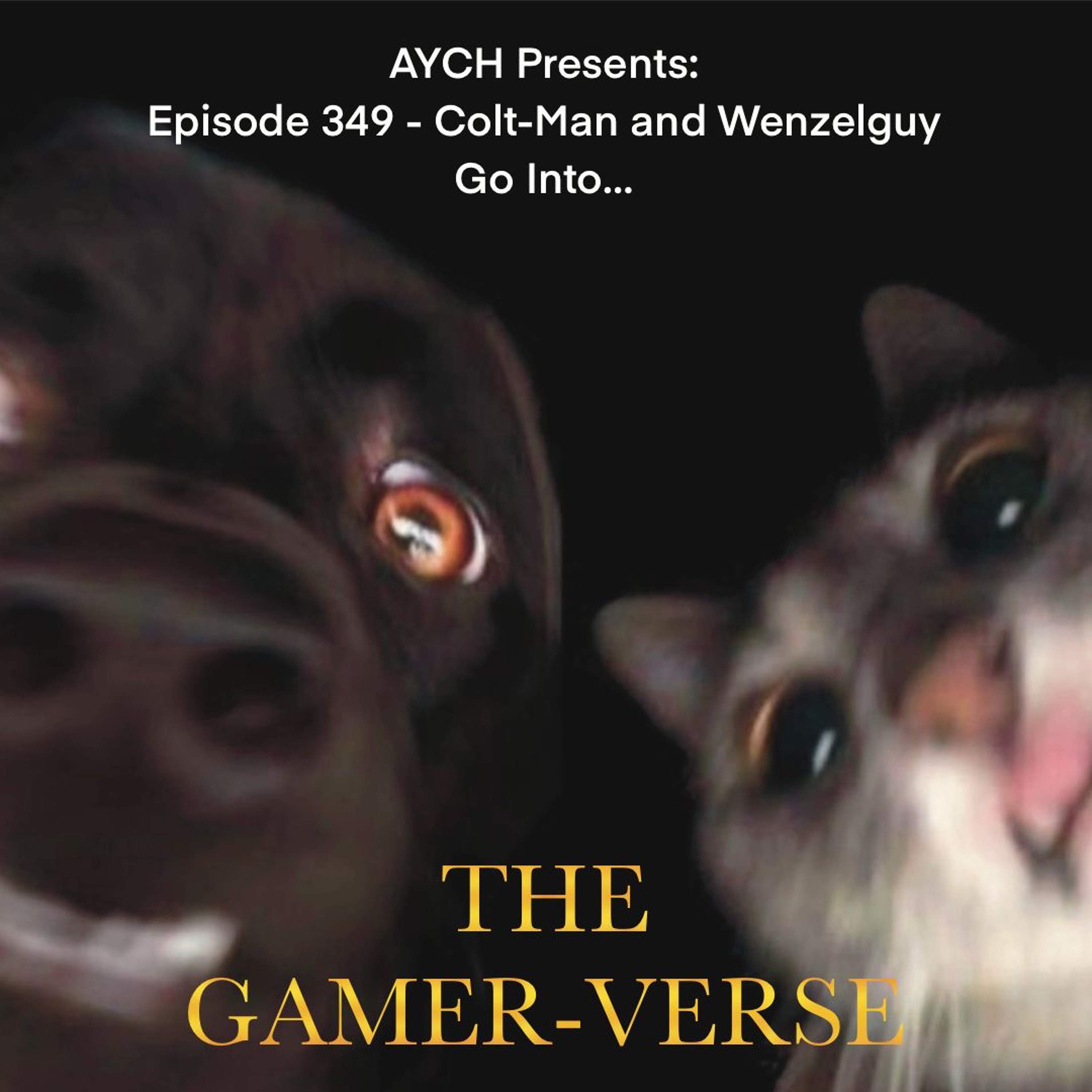 Episode 349: Colt-Man and Wenzel-Guy Go Into…THE GAMER-VERSE episode artwork