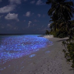 سجيت مع نفسي - ماجد المهندس