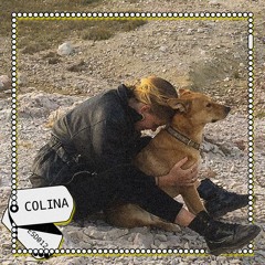 Soul Companion: Colina - Chocolate Dog | ESD012