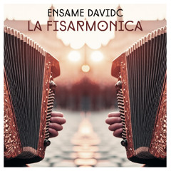 Ensaime, DavidC - La Fisarmonica (Original Mix)