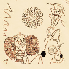 Insect Eyes