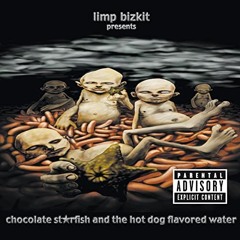 Limp Bizkit - The One (Cover)