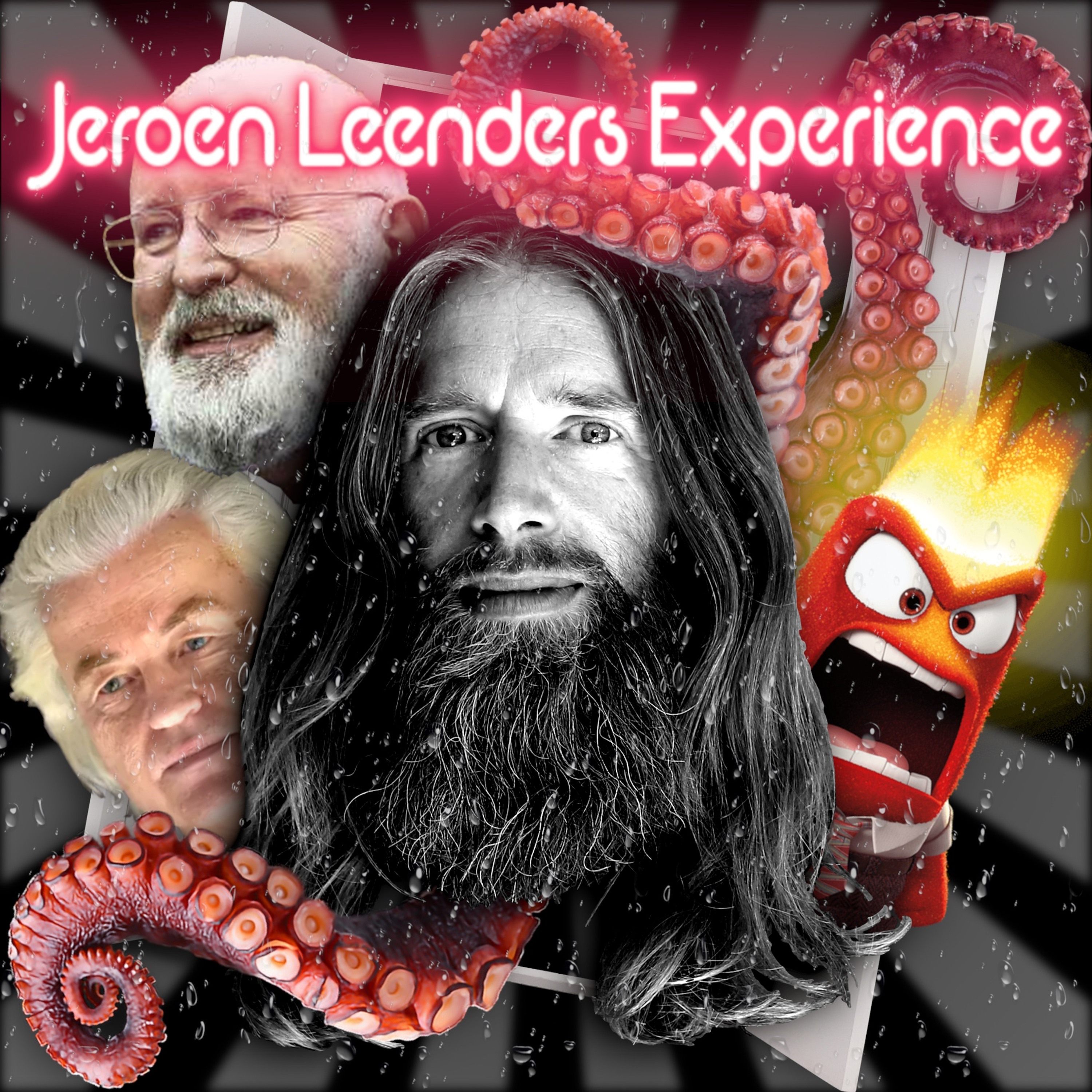 Jeroen Leenders Experience