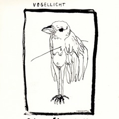 Vogellicht - casa (from 'el pájaro y la casa')