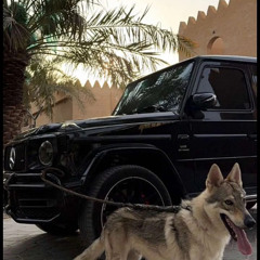 بندر بن عوير Mashup