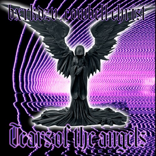 BXRKDZV x CowbellChrist - Tears of the angels