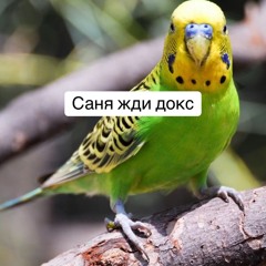 НАВЕРНОЕ ПОЭТ- ЯКОРЪ- EVEN CUTE-ХОЧЕТ НАС