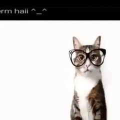 jesse & joy #hoodtrap #sadjerk