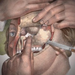 Sonic Trail 12.0 — bone structures 🩻